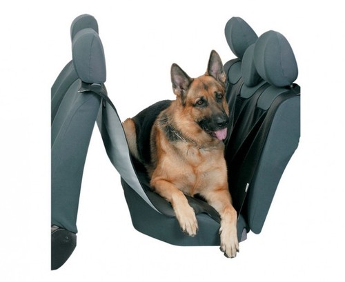 Top fodera copri sedile cane - fodera,